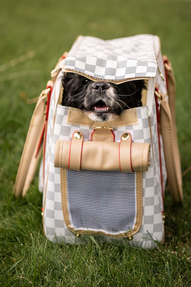 Luxi Lou Pet Carrier