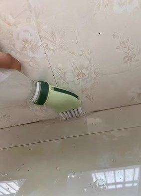 Recensione di Rosanna