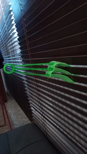 Recensione di Riccarda